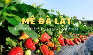 MÊ ĐÀ LẠT