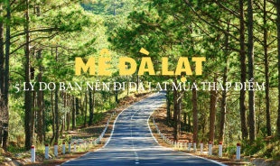 MÊ ĐÀ LẠT